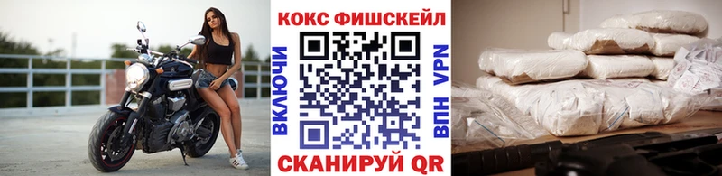 где купить   Карабулак  Cocaine 99% 