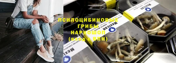 прущая мука Гусев