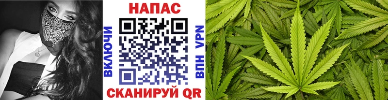 Конопля индика  Карабулак 